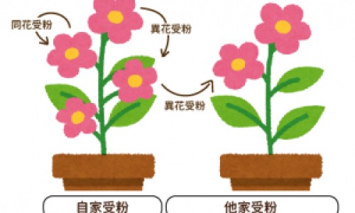 年轻年青的区别网 - 网站提供年轻 年青的区别小常识、年轻年青的区别在哪